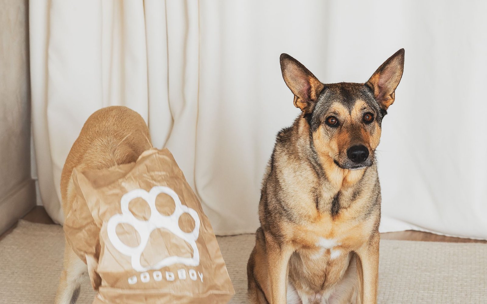 Питомцы с пакетом GOOD BOY